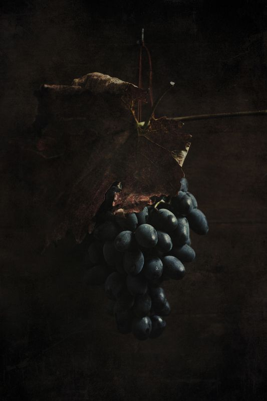 Натюрморт, виноград, фуд фото, живопись, фрукты, еда, низкий ключ, винтаж Виноградphoto preview