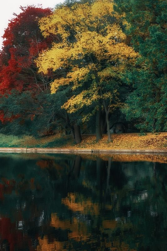 осень, природа, пейзаж, autumn, goldautumn, nature, landscape, золотаяосень, отражение, пруд, reflection ***photo preview