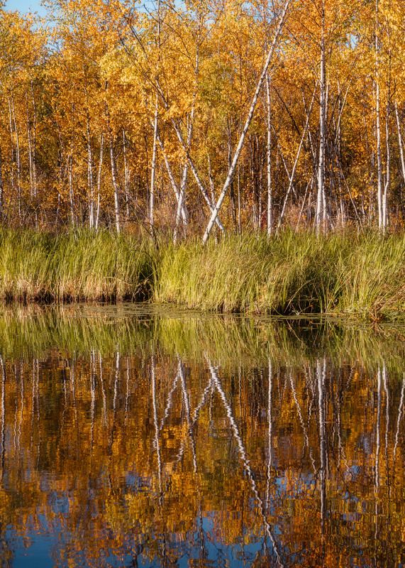 осень отражение озеро этюд autumn lake leaves reflection Осенние этюды…  Autumn sketches…photo preview