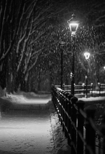 Winter promenade
