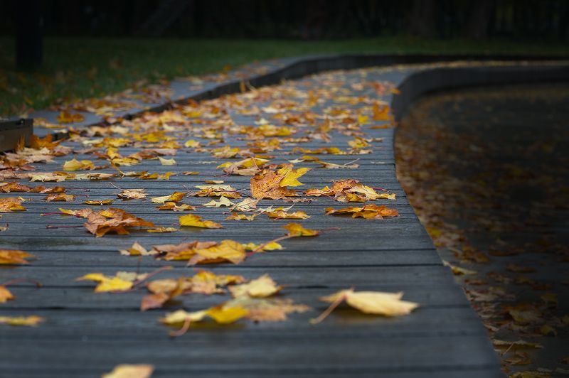 осень Осеньphoto preview