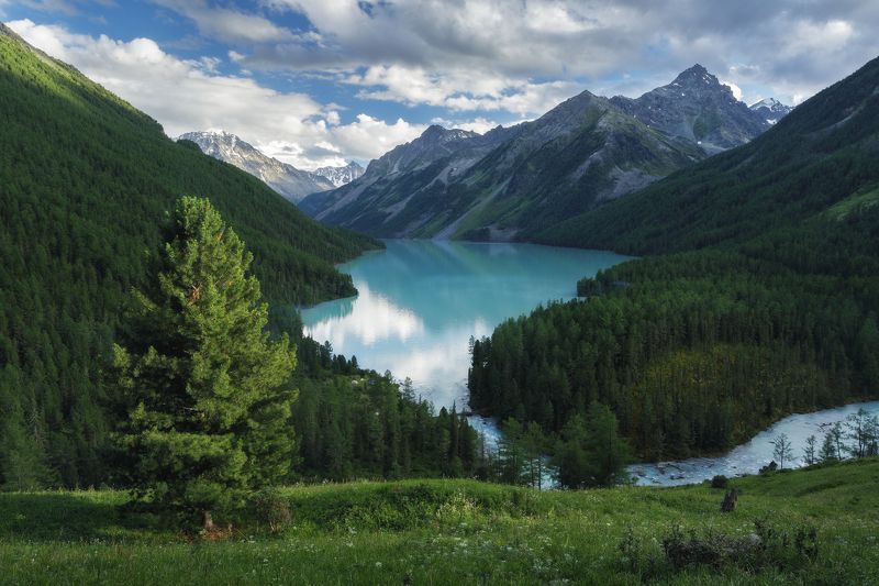 Кучерлинское озеро, Республика Алтай