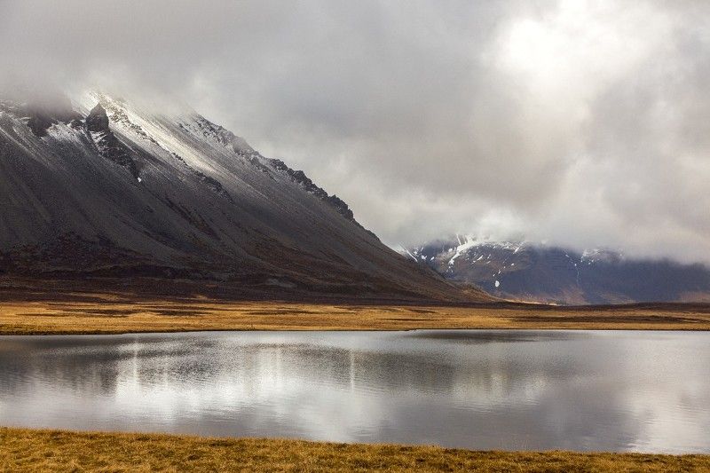 Iceland 's western fjords