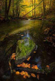River Dream