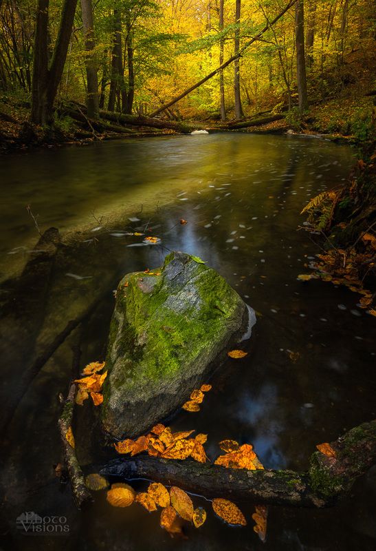 autumn,river,nature,autumnal,water,forest,woodland,woods,trees,leaves,colorful, River Dreamphoto preview