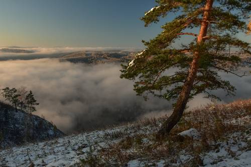 Туманное утро на Катунских утёсов