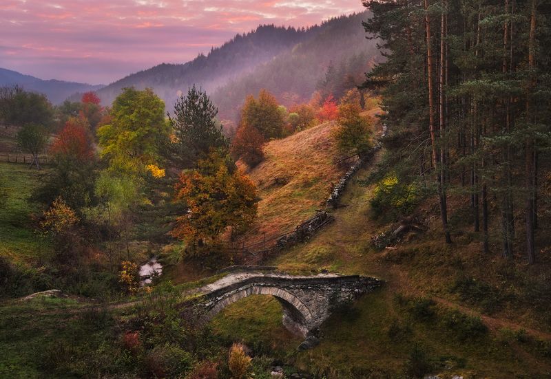 Краски осени / Colours of the autumn