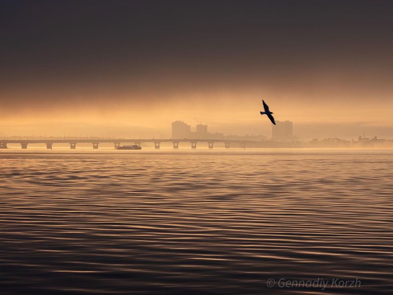 Foggy Sunrise on the Volga Riverphoto preview