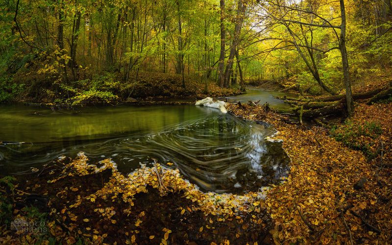 river,forest,woods,woodland,autumn,autumnal,poland,polish, River Pond фото превью
