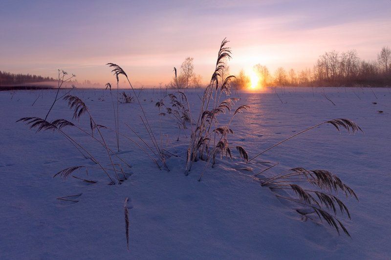 Зима, Иней, Мороз, Рассвет, Солнце, Туман, Утро ~125~photo preview