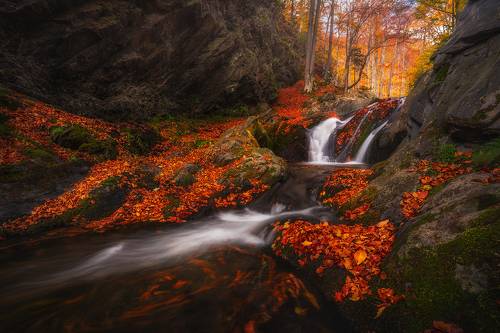 The colors of autumn song / Краски осенней песни
