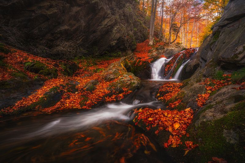 landscape, nature, scenery, forest, wood, autumn, fall, waterfall, river, mountain, staraplanina, bulgaria, лес The colors of autumn song / Краски осенней песниphoto preview