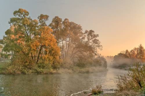 У реки в туманное утро осени.