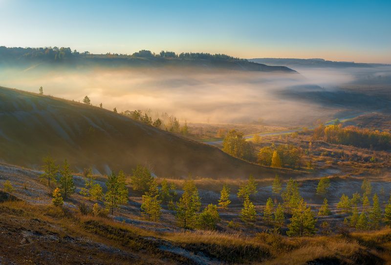 Белгородская область, Белогорье, осень, осенний, степь, туман, туманное, сосна, свет, золотой, в тумане, горы, горное, холмы, дорога, прозрачное, утро,  Прозрачное утроphoto preview