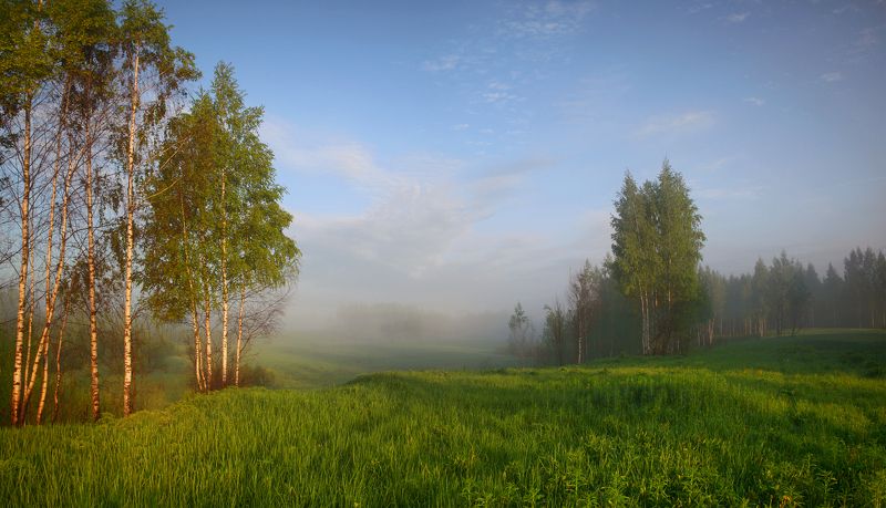 утро , туман , весна, лес Русский пейзаж.photo preview