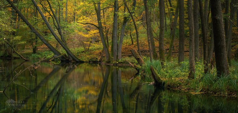 autumn,autumnal,trees,river,water,reflections,landscape,woods,woodland,forest, Autumnal reflections фото превью