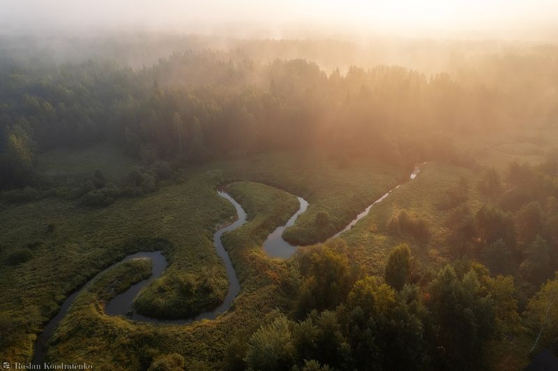 Утренний туман в Ленинградской области