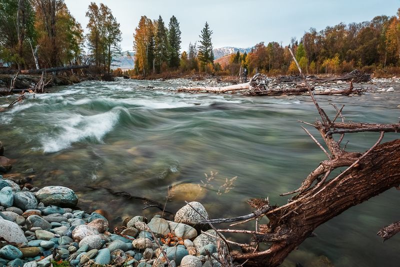 Россия, Алтай, пейзаж,река,осень Горная речка на Алтаеphoto preview