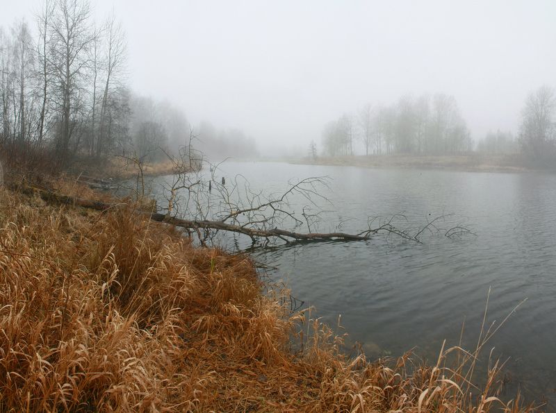 осень , туман , озеро  Ноябрьphoto preview
