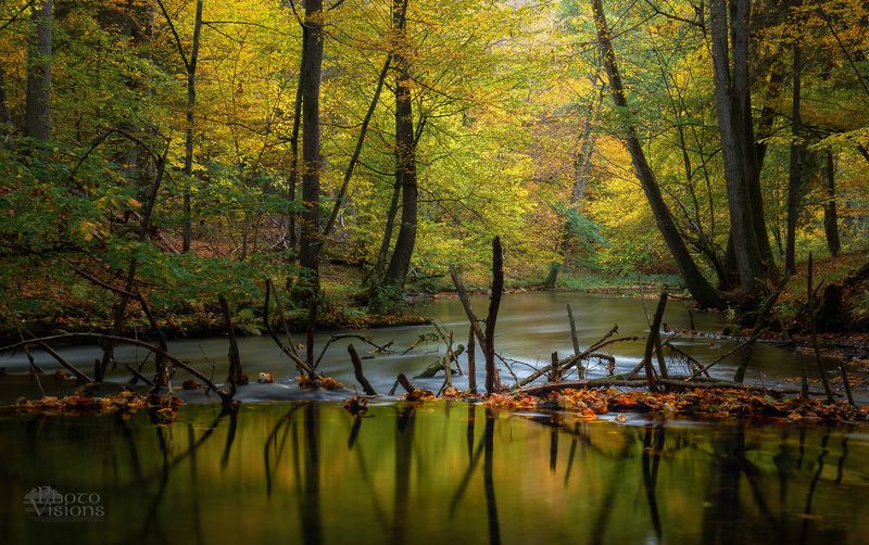 river,forest,landscape,woodland,woods,water,autumn,autumnal River Barrier фото превью