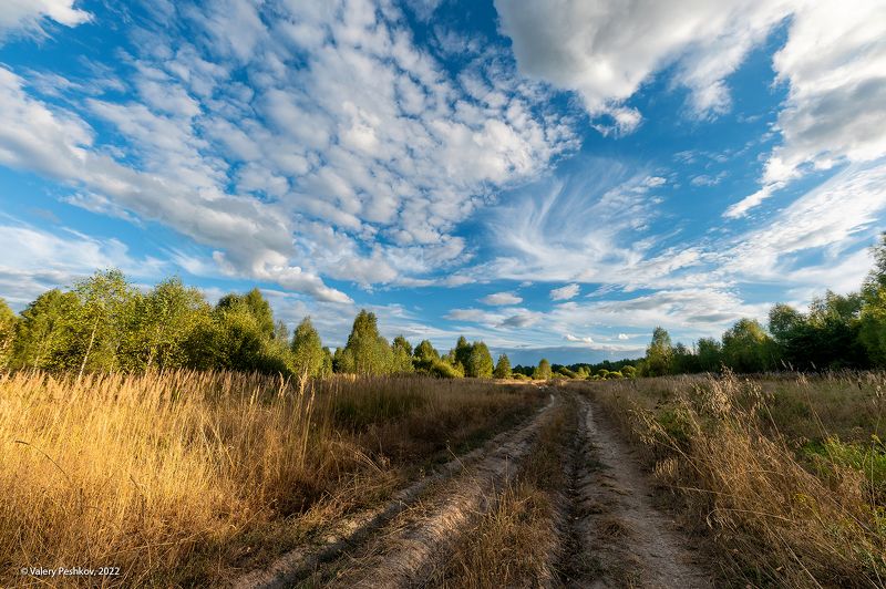 ранняя осень, поле, облака, солнце, высокая трава, мещёра, рязанская область. По дороге домойphoto preview