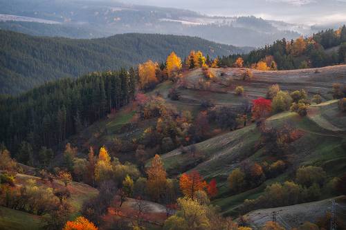 Autumn in Rhodopi mountain