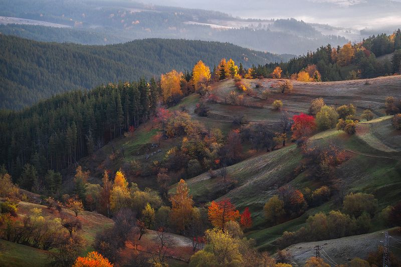 landscape, nature, scenery, forest, wood, trees, oldhouses, village, autumn, fall, colors, mountain, rodopi, bulgaria, лес Autumn in Rhodopi mountainphoto preview