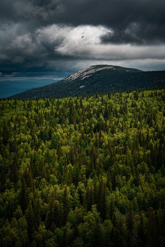 горы, лес, путешествия, пасмурно, урал, зюраткуль Пасмурный день на южном уралеphoto preview