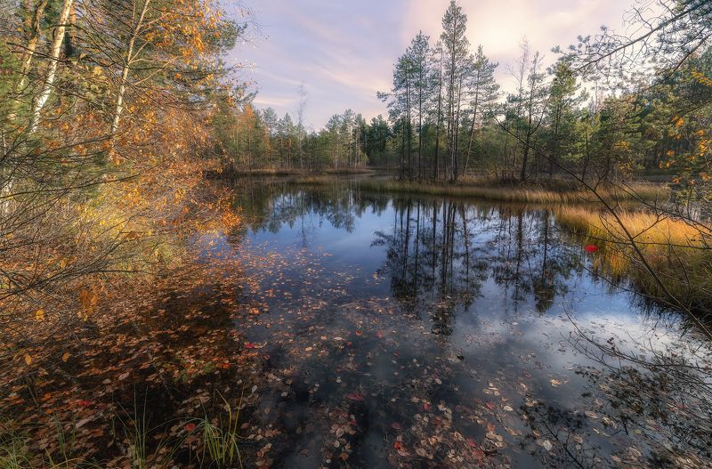 Осень догорает