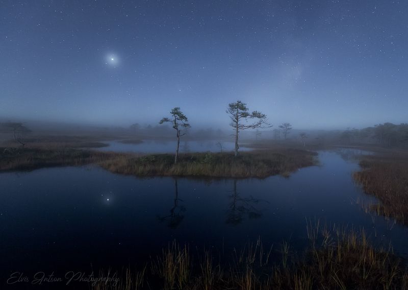 пейзаж, природа, ночь, болото, эстония Ночь на болотеphoto preview