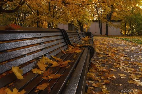 Осень в Коломенском