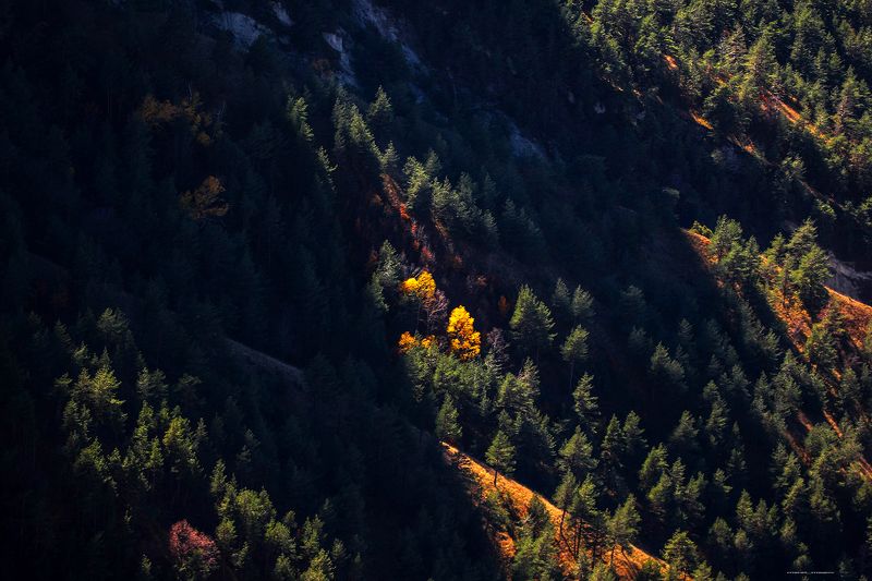 осень,горы,дагестан,пейзаж, Цвет осени..photo preview