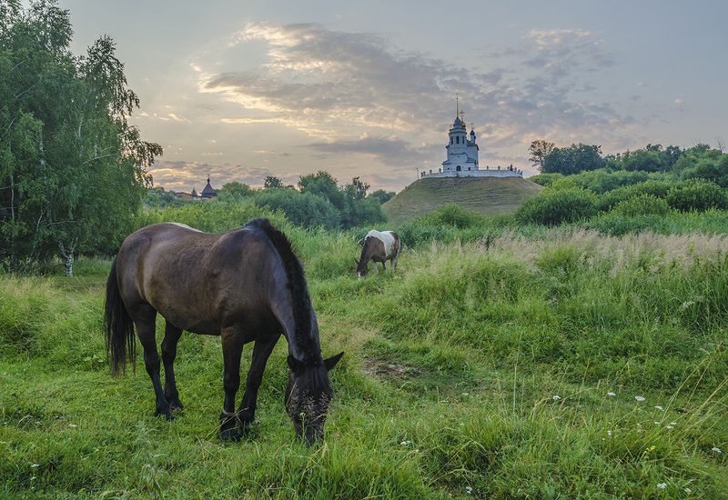 Епифань. Одно утро июля