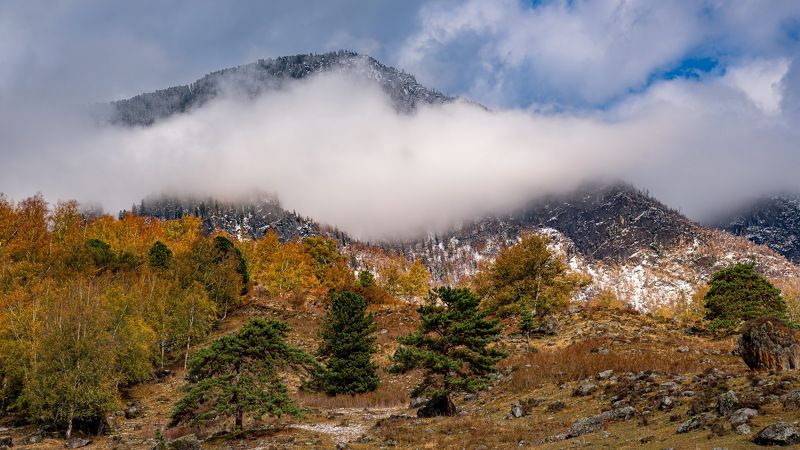 алтай. осень. горы. Осень на Алтае.photo preview