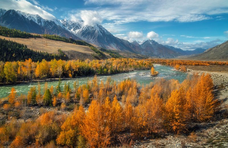 горный алтай,осень,река аргут,катунский хребет Осенний Аргут...photo preview