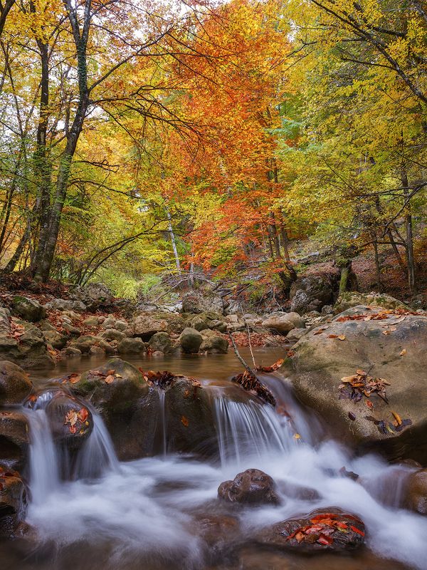 крым, осень, лес, горы, водопады. Осень в Большом каньоне Крыма.photo preview