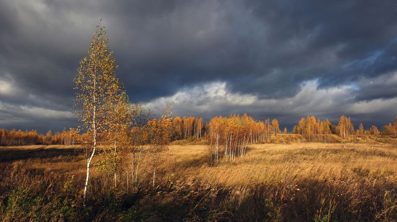 осень , поле , тучи Русский пейзаж.photo preview