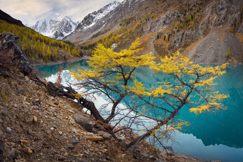 Шавлинское озеро. Алтай.photo preview
