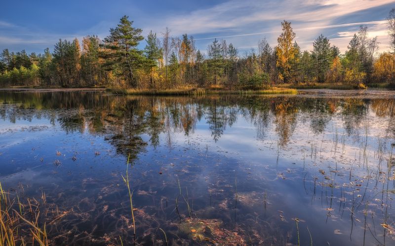 Оттенки осени