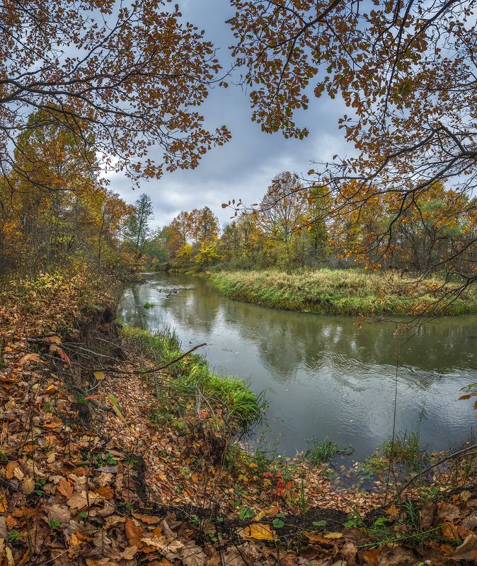 Осенняя река Киржачphoto preview