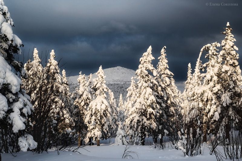 круглица, нп таганай, зимний пейзаж, горы, лес Гора Круглицаphoto preview