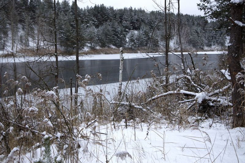 ноябрь осень озеро снежноеозеро  Ноябрьphoto preview