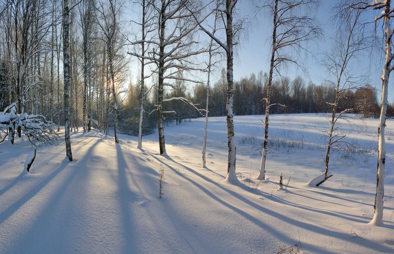 зима , солнце , лес Зимаphoto preview