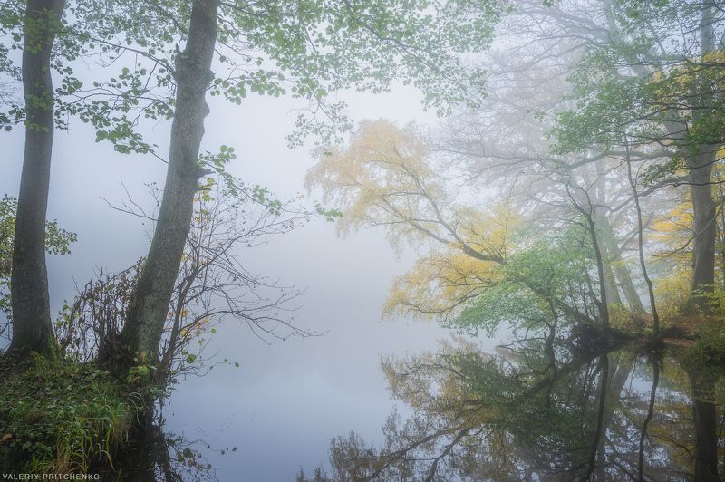 осень, пейзаж, утро, туман, природа, nature, autumn, landscape, morning, calm, tree, lake В утренней тишинеphoto preview