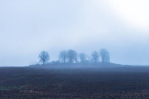 осенний туман