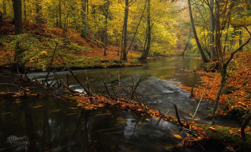 river,forest,autumn,woodland,woods,trees,nature,landscape, Autumnal river фото превью