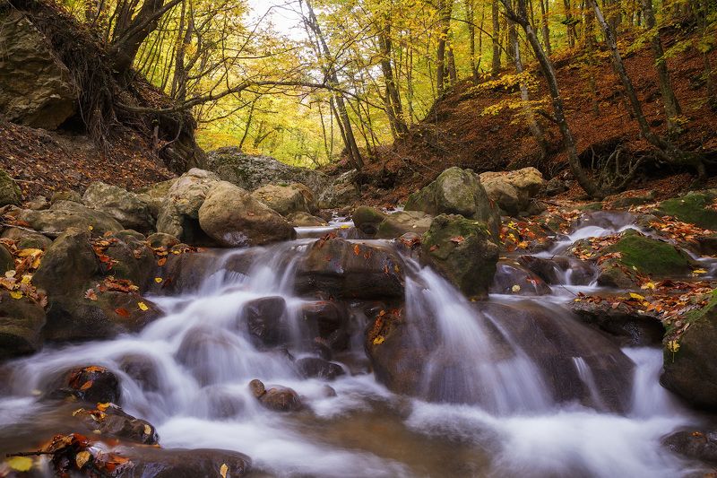 крым, осень, лес, горы. Осень в Большом каньоне Крыма.photo preview