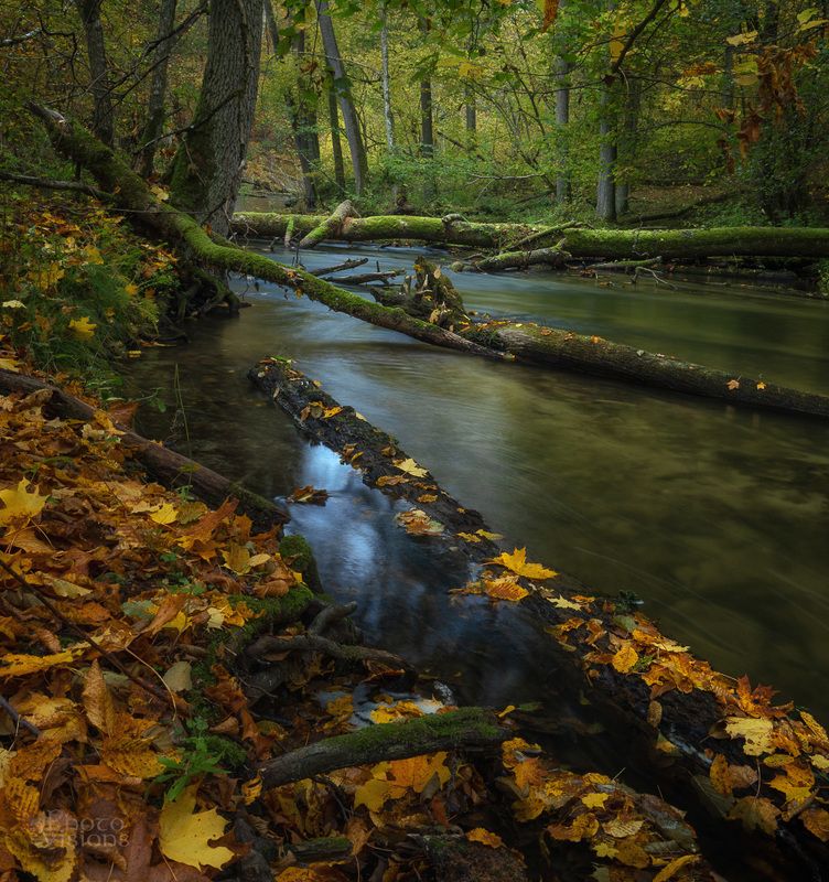 autumn,forest,woodland,woods,river,long exposure,water,autumnal, With Blue Tonesphoto preview