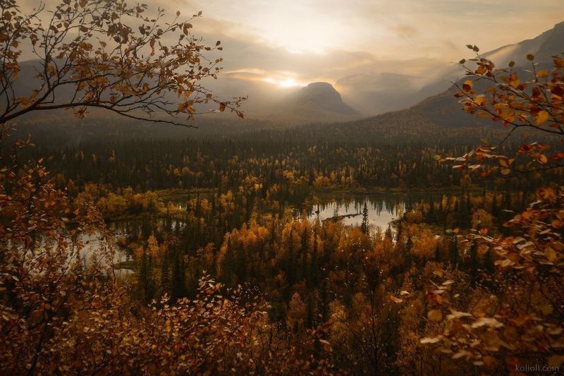 Красота осени — Ловозерские тундры и Алтай