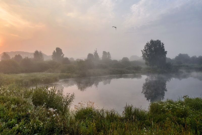 южный урал, пруд, деревня, утро, туман, птица, разнотравье Деревенский пруд по утруphoto preview